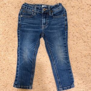 Hudson Jeans Denim Skinny Jean Toddler
